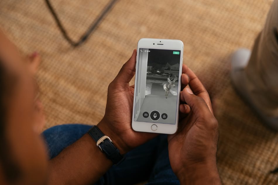 Cerrillos NM security system